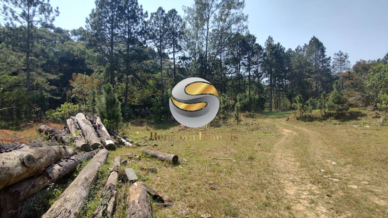 Depósito-Galpão, 1500 m² - Foto 17