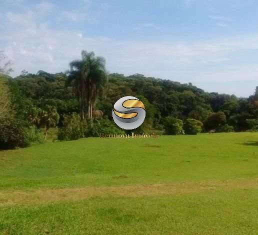 Terreno, 5 hectares - Foto 4