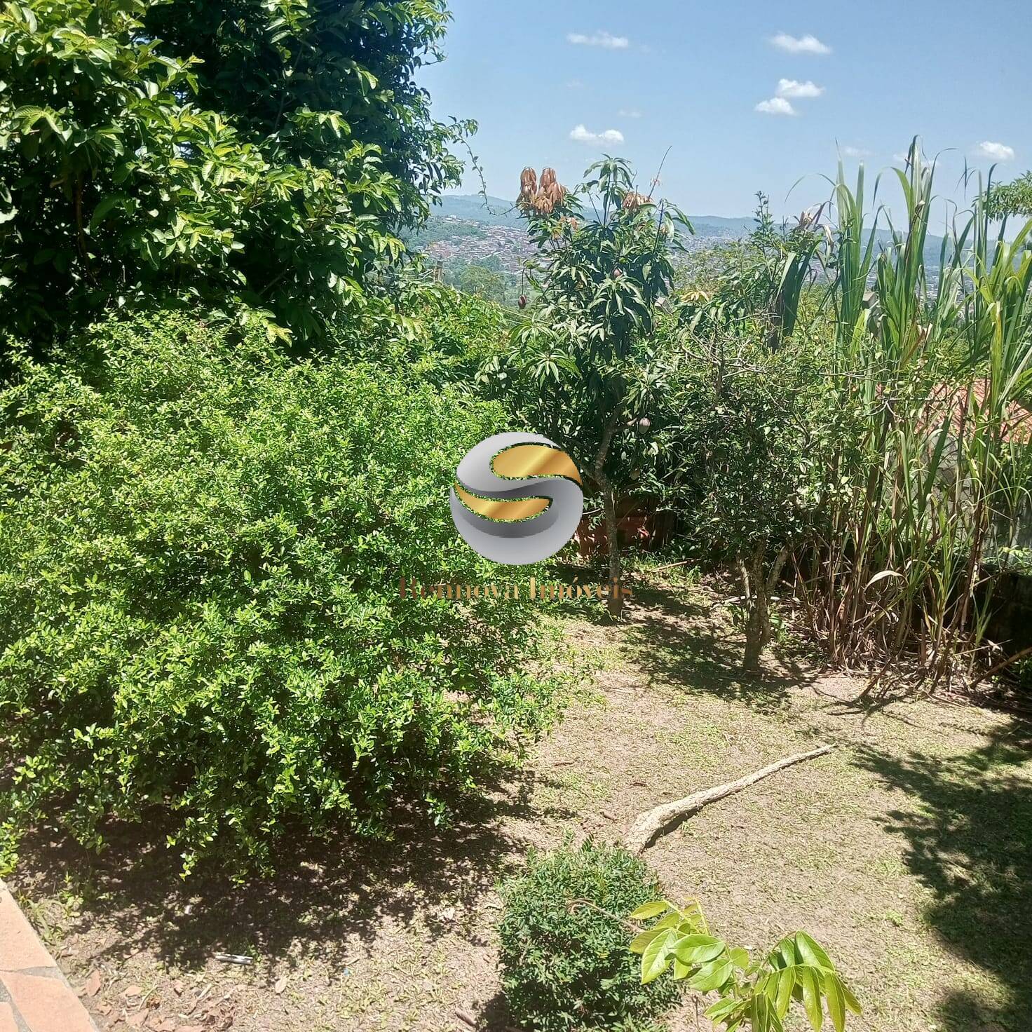 Casa, 3 quartos, 268 m² - Foto 23