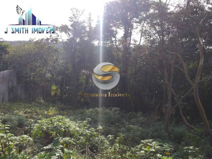 Terreno à venda, 2000m² - Foto 4