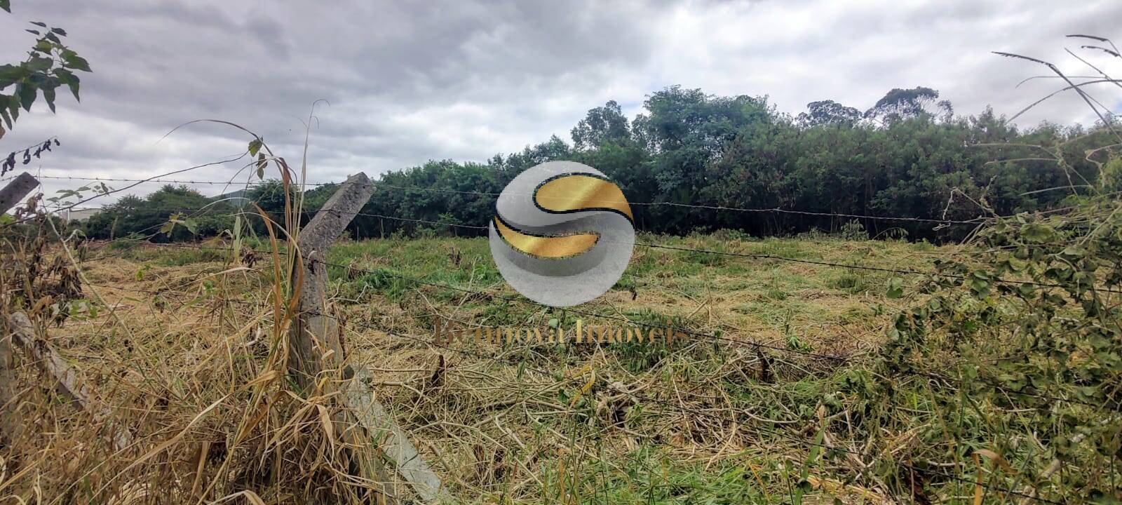 Terreno, 5030 m² - Foto 6