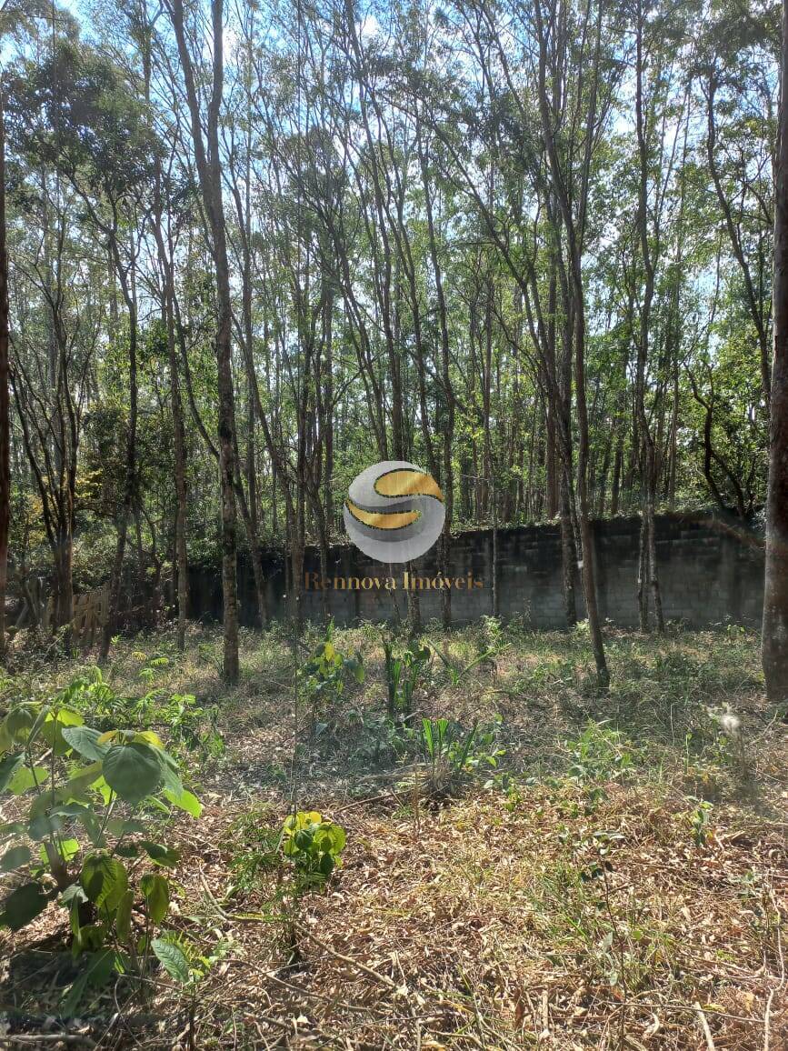 Terreno à venda, 960m² - Foto 4