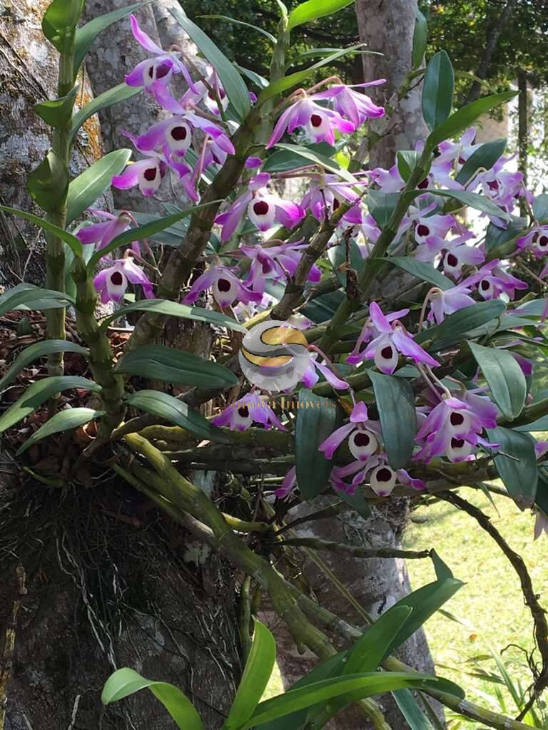 Casa, 2 quartos, 184 m² - Foto 60