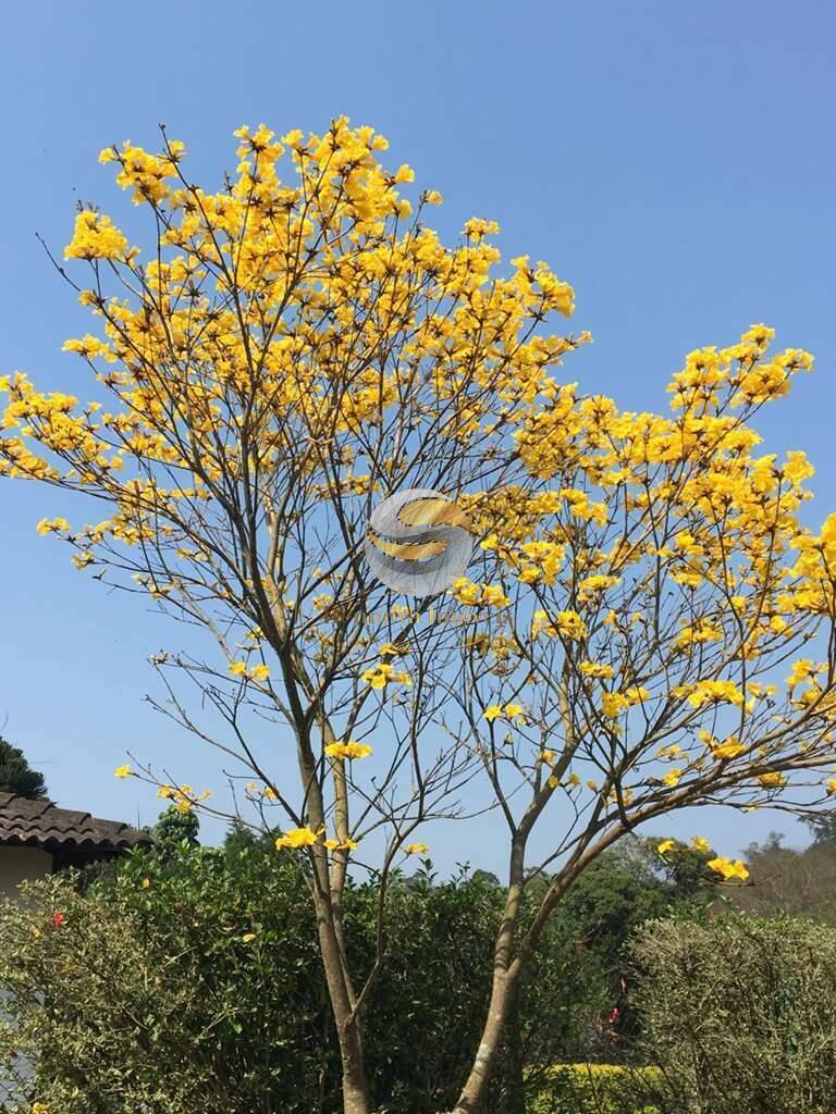 Casa, 2 quartos, 184 m² - Foto 61