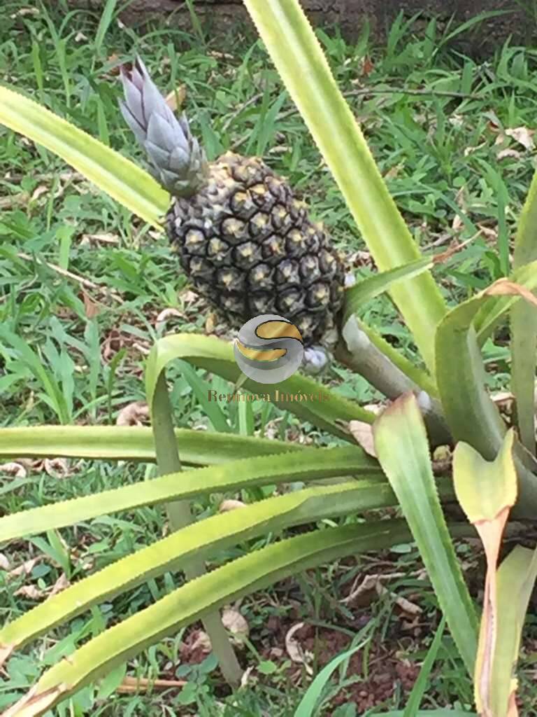 Casa, 2 quartos, 184 m² - Foto 68