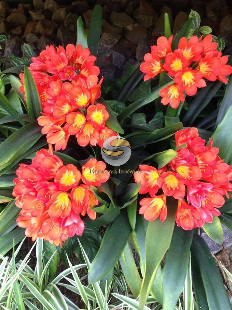 Casa, 2 quartos, 184 m² - Foto 64