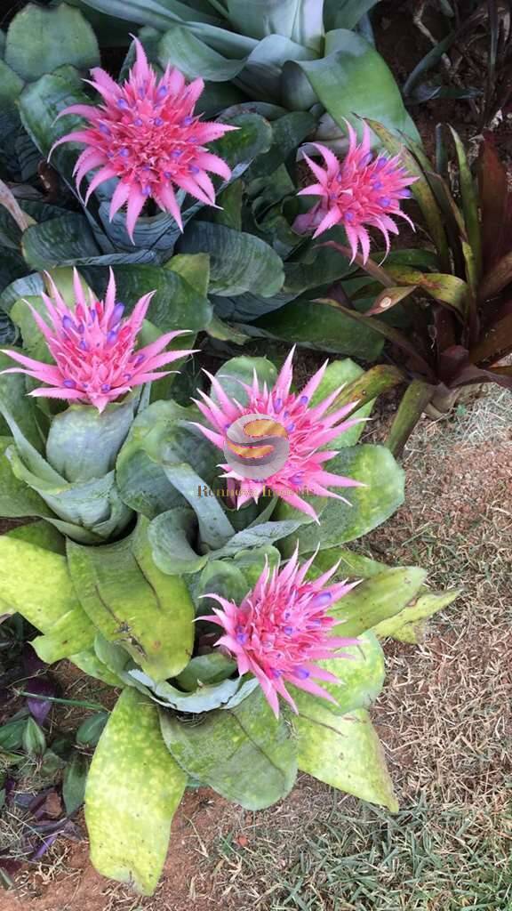 Casa, 2 quartos, 184 m² - Foto 65