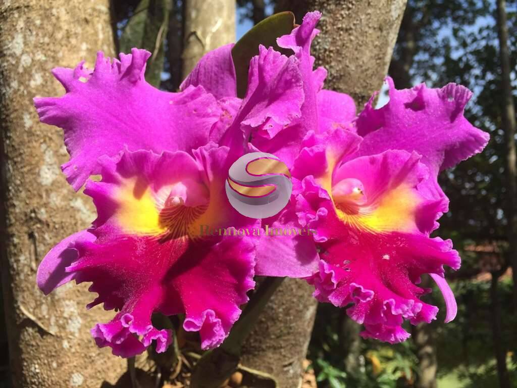 Casa, 2 quartos, 184 m² - Foto 67