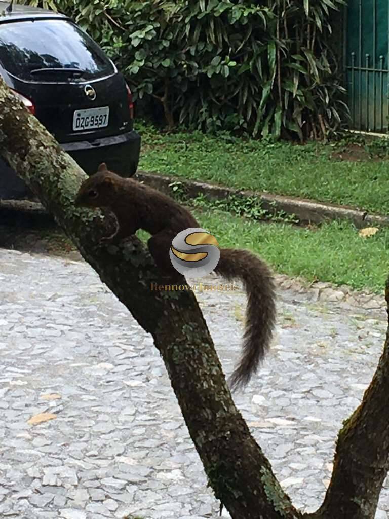 Casa, 2 quartos, 184 m² - Foto 70