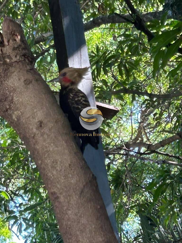 Casa, 2 quartos, 184 m² - Foto 72