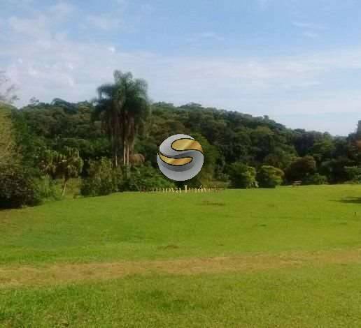 Terreno, 50 hectares - Foto 2