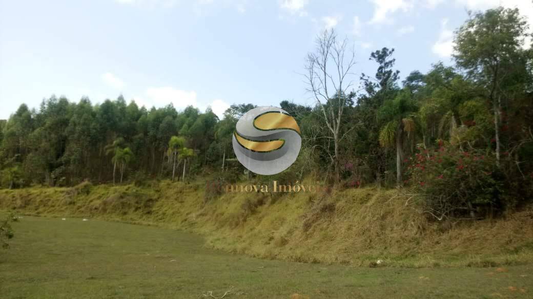 Terreno, 50 hectares - Foto 6