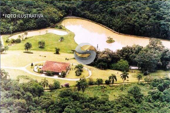 Terreno, 50 hectares - Foto 1