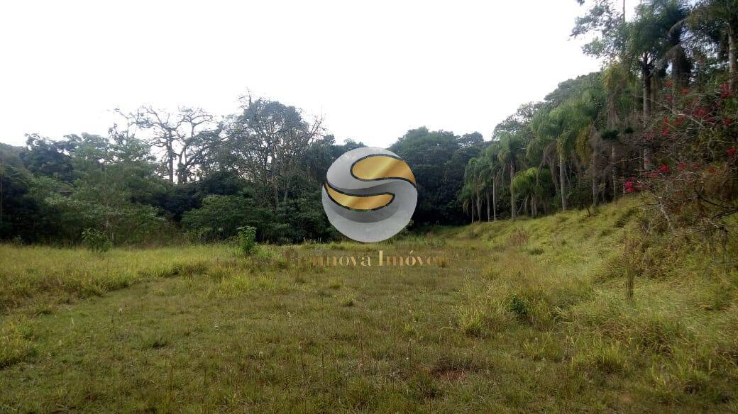 Terreno, 50 hectares - Foto 14