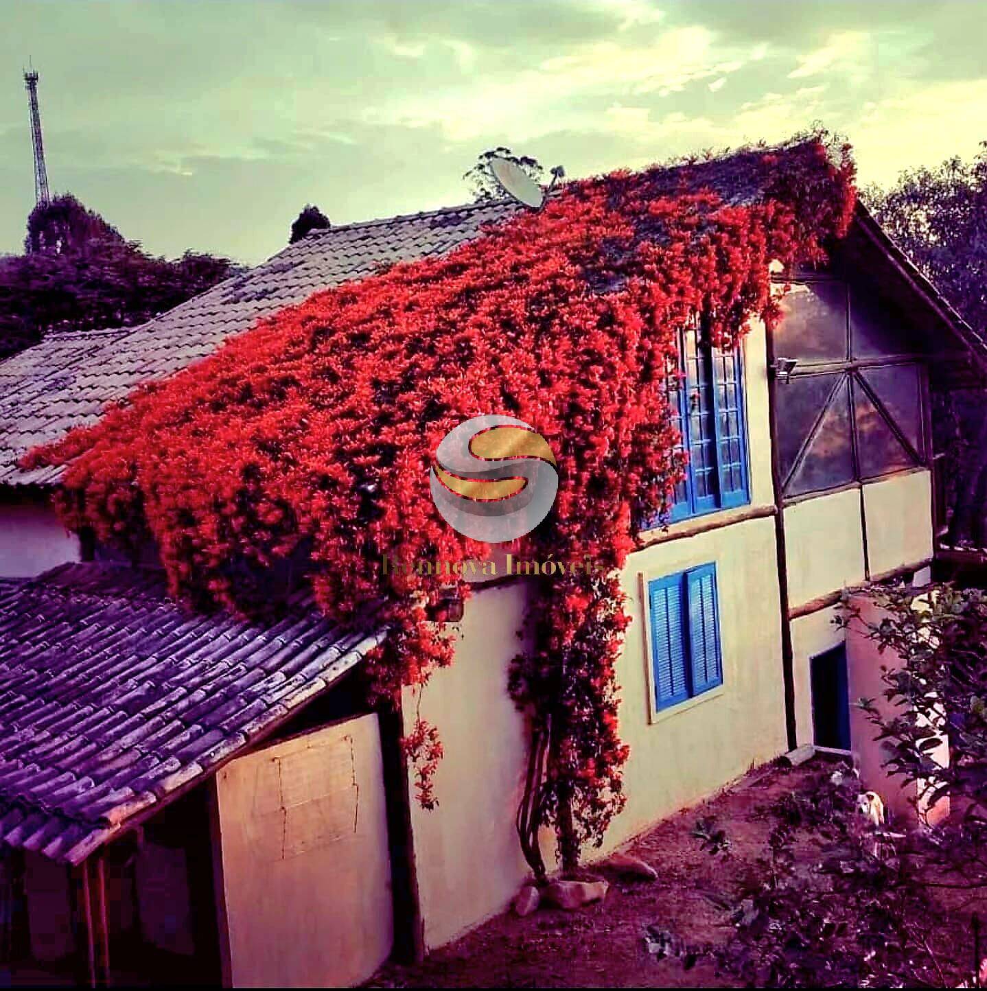 Casa, 3 quartos, 436 m² - Foto 4