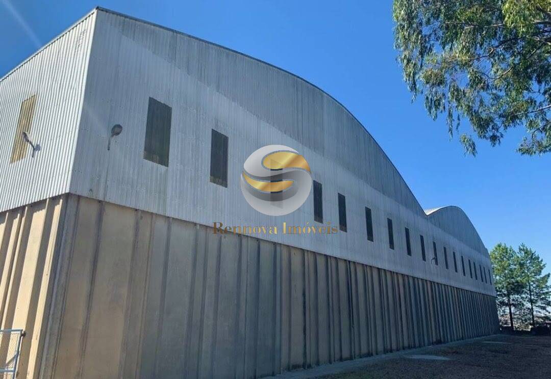 Depósito-Galpão, 10000 m² - Foto 1